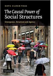 The Causal Powers of Social Structures Book Cover