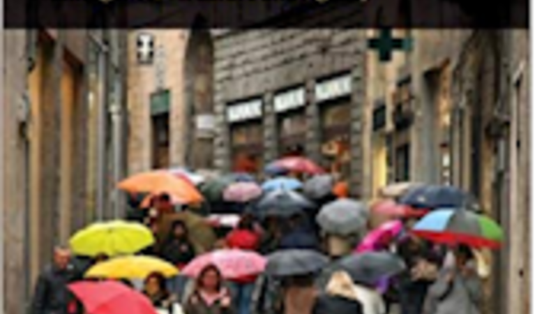 The Causal Powers of Social Structures Book Cover