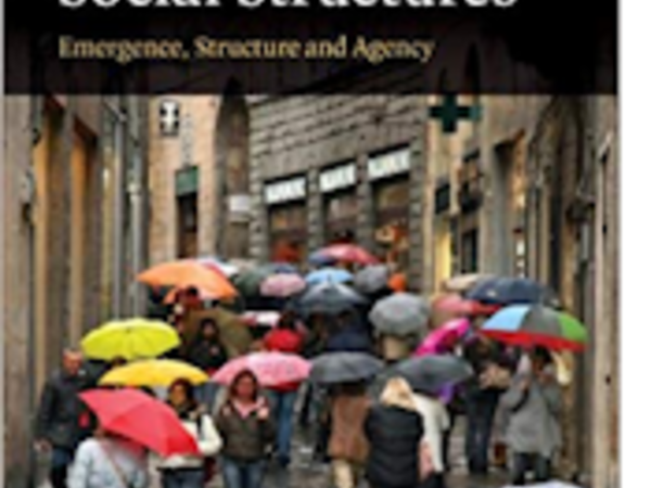 The Causal Powers of Social Structures Book Cover